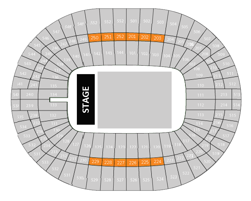 Wembley Stadium Concert Premium